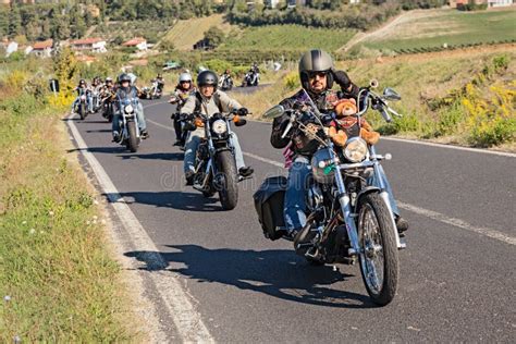 Gruppo di motociclisti sorridenti con le loro moto