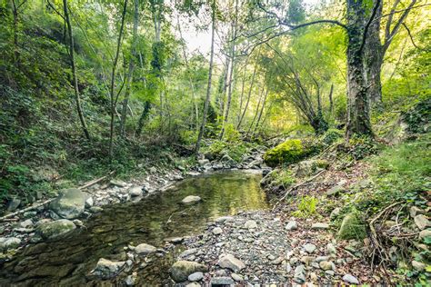 Panorama dei Monti Nebrodi con boschi e sentieri