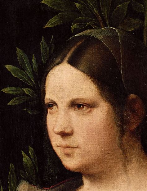 Ritratto di giovane donna detta Laura, Giorgione