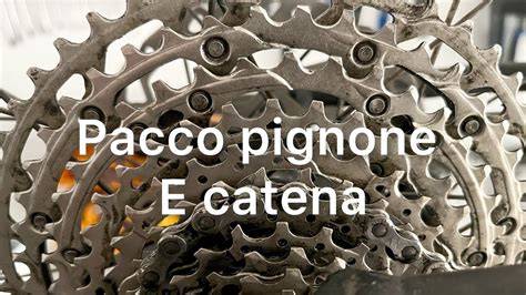grafico usura pignoni e pioli catena