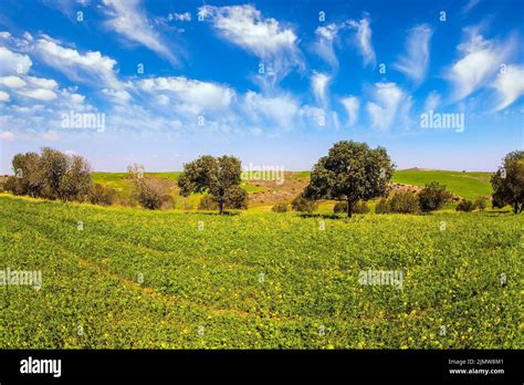 Strada statale Regina in una giornata di sole