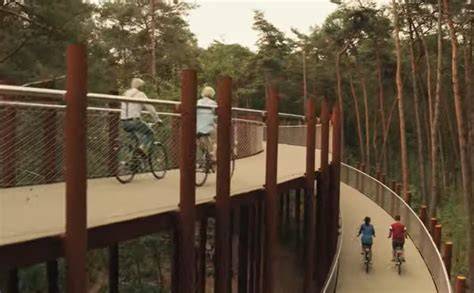 pista ciclabile tra gli alberi altezza 10 metri