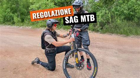 Grafico SAG e regolazioni forcella MT-09