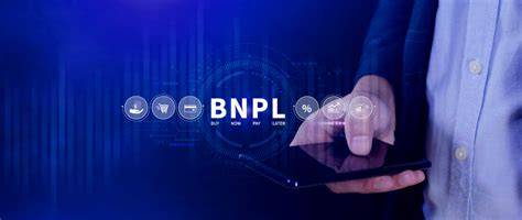 Infografica BNPL principali fornitori