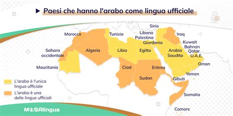 Professoressa che insegna la lingua araba