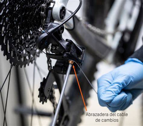 Schema compatibilità cambio cassette MTB