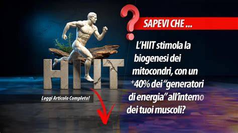 infografica HIIT e adattamenti muscolari