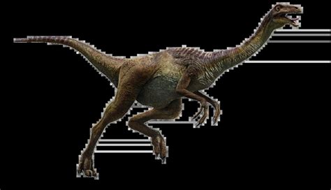Scheletro di Gallimimus
