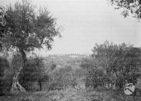 Paesaggio collinare romagnolo