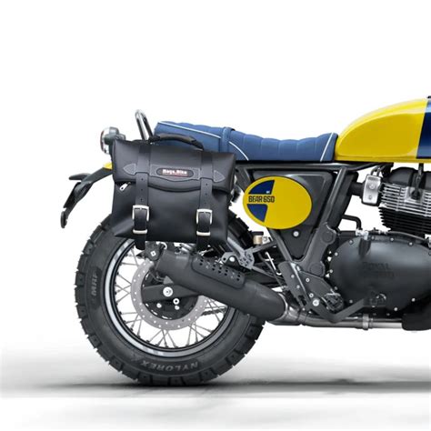 Royal Enfield Bear 650 con borse laterali morbide