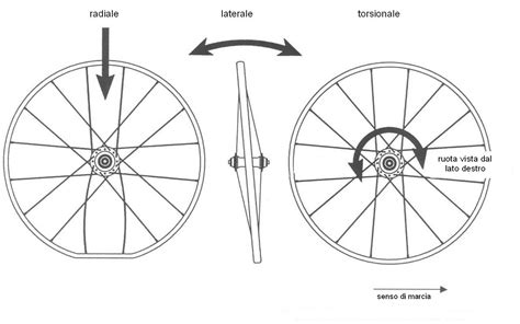 schema di forze che agiscono su una bicicletta durante un'impennata
