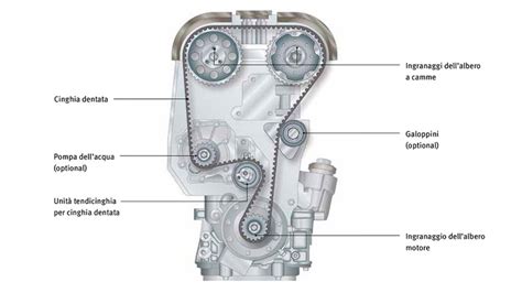 cinghia di trasmissione per scooter con segni di usura