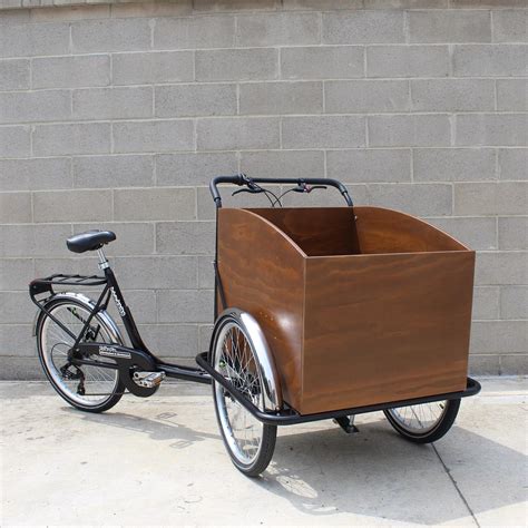Cargo bike a tre ruote con cassone
