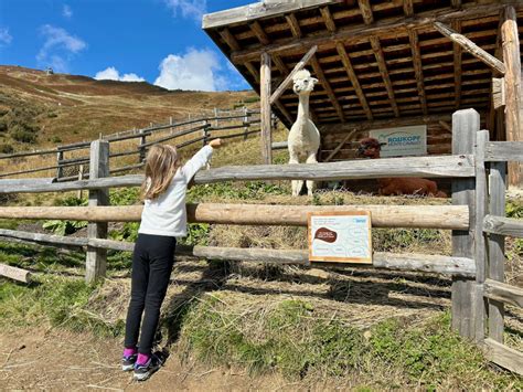 Bambini che accarezzano una capra nel Rossy Park