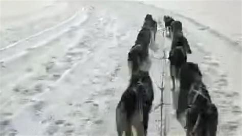 Famiglia che scende con la slitta su una pista innevata