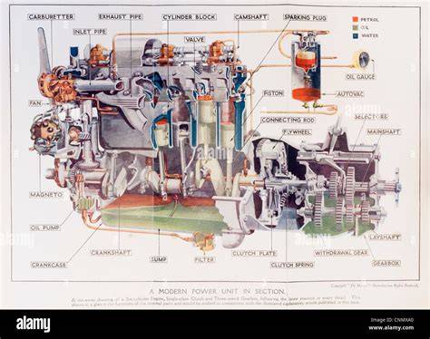 Schema posizionamento etichetta motore