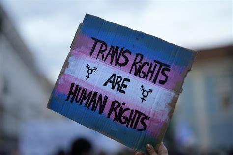 rappresentazioni transgender in media
