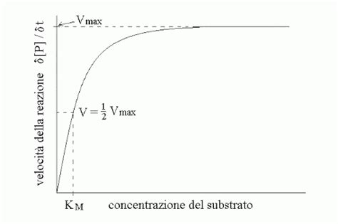 Grafico che mostra la relazione tra velocità e consumo di carburante