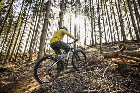 ciclista su bici elettrica in un paesaggio naturale