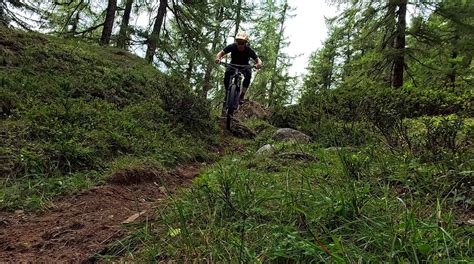 Ciclista che affronta un sentiero stretto con vegetazione