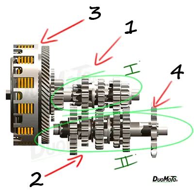 Schema di una trasmissione secondaria di una moto