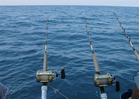 diagramma che illustra le diverse azioni di una canna da pesca