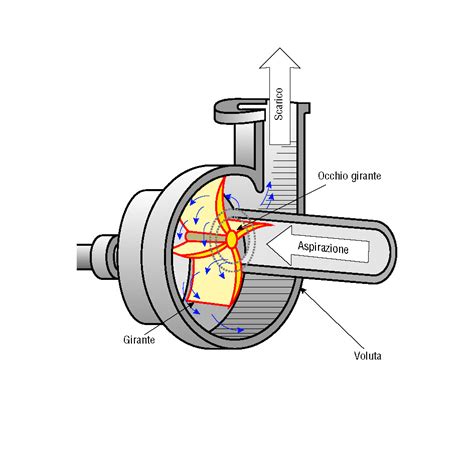 Schema di funzionamento di una pompa acqua motore