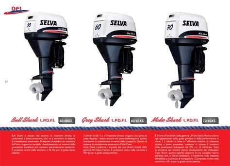 Infografica che confronta i vantaggi dei motori fuoribordo rispetto agli entrobordo