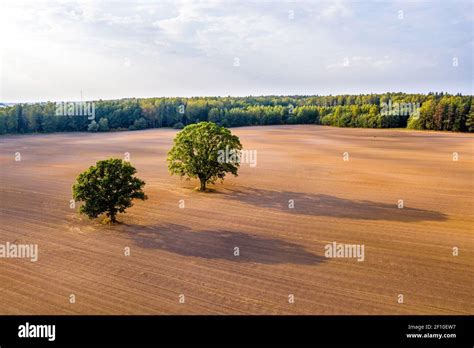 mezzo agricolo in un campo