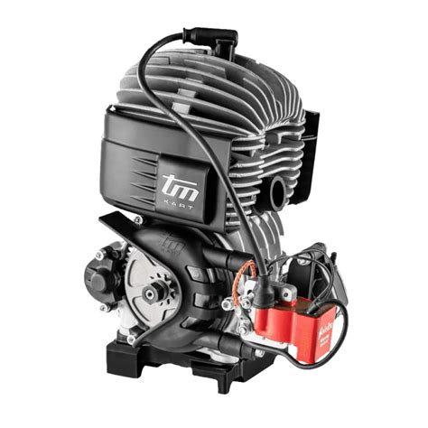 Schematizzazione motore kart a lamelle