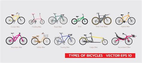 Diversi tipi di modellini di biciclette