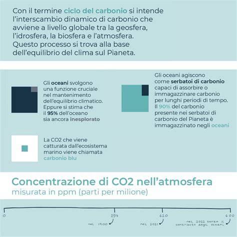 Infografica confronto XT Carbon e Biofibre
