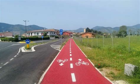 Alberi lungo una pista ciclabile