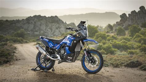 Yamaha Ténéré 700 World Raid in azione su un sentiero sterrato