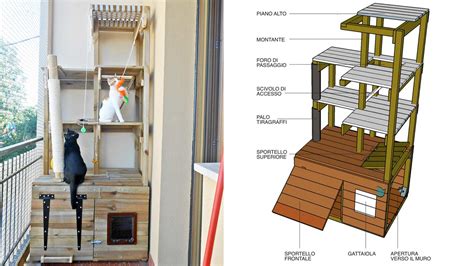 Costruzione di una cuccia per gatti con pallet