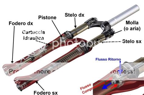 Schema di una forcella anteriore per scooter