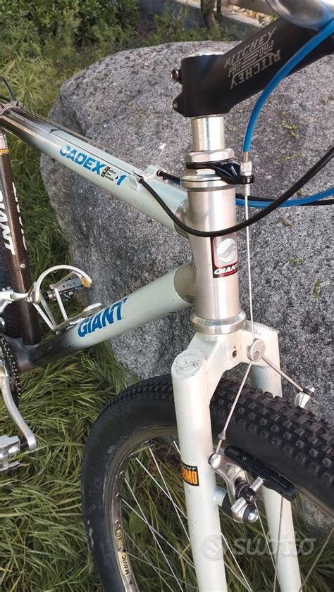 catalogo immagini bici giant usate