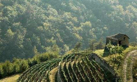 Paesaggio rurale italiano