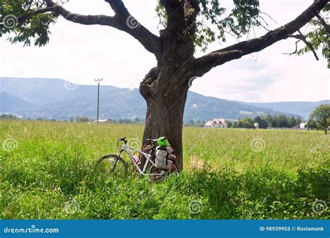 Ciclista in un paesaggio rurale