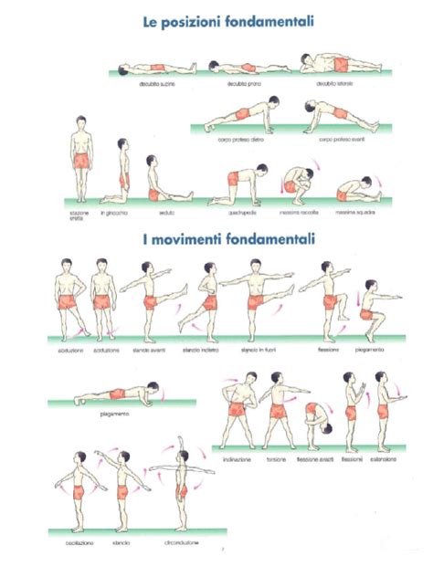 Diagramma che illustra le diverse posizioni del corpo in sella in base alla lunghezza e all'inclinazione dell'attacco manubrio