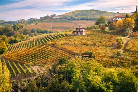 Paesaggio collinare del Roero con vigneti