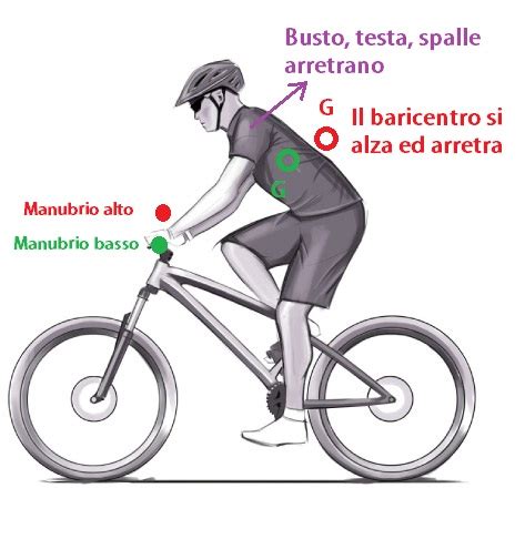Schema baricentro con manubrio alto e basso