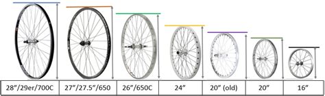 Schema di una bici con diverse dimensioni di ruote (27.5