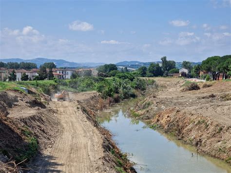 Argine erboso del fiume Lamone