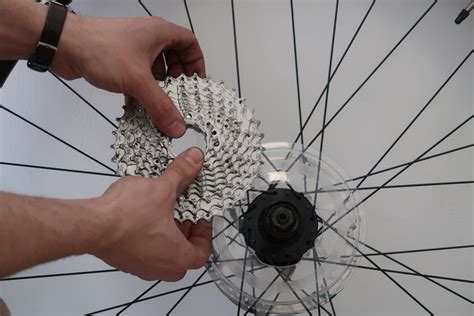 Schema di un pacco pignoni su una ruota posteriore di bicicletta