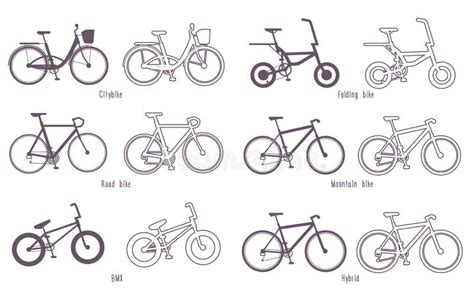 Diversi tipi di biciclette su una strada di montagna