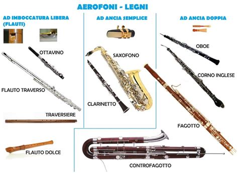 Vari tipi di legni utilizzati per la costruzione di strumenti musicali