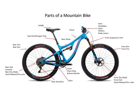 schema ammortizzatori mountain bike full suspension