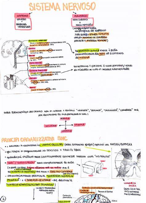 schemi sistema TREKKER tre versioni