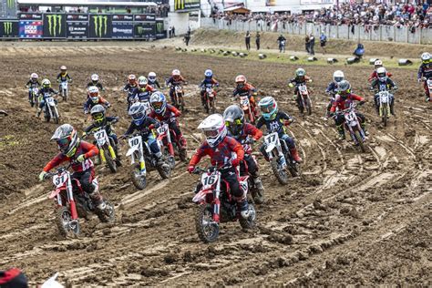 Infografica: percorso formativo Junior Motocross